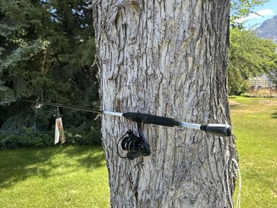 Lews affinity rod and reel combo 200 reel size