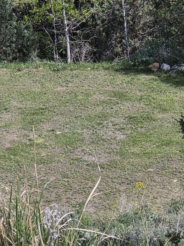 Main image 7