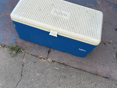 Igloo cooler