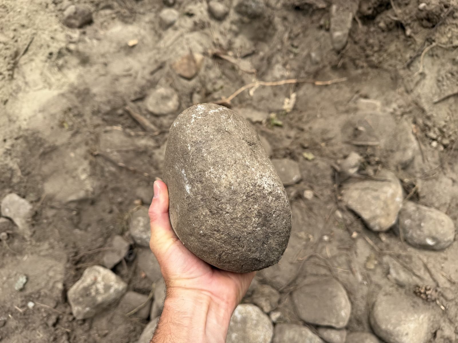 Main image 4