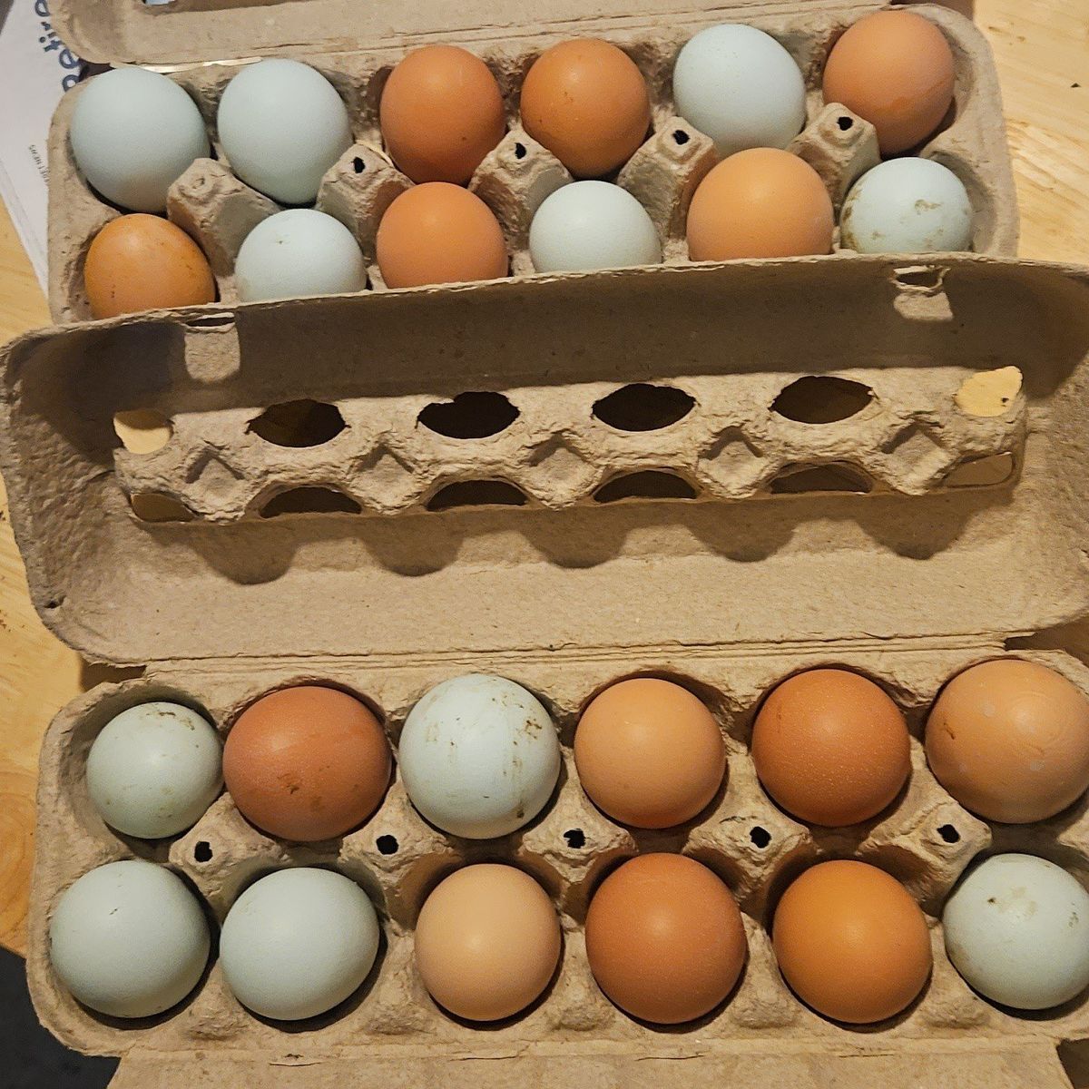 farm fresh eggs