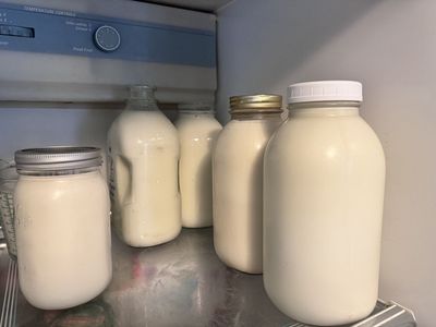 Fresh Goats Milk