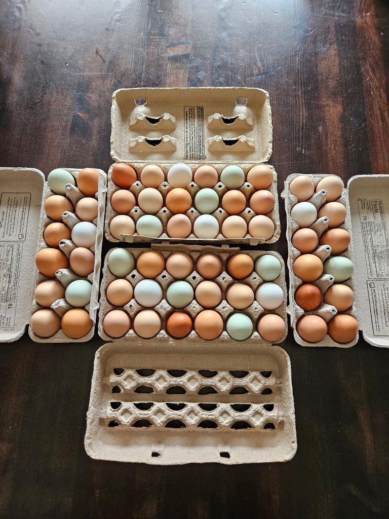 Farm fresh eggs South Jordan