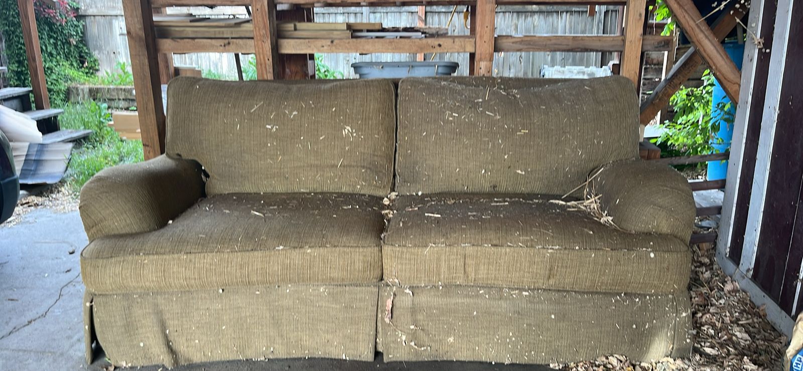 Free couch
