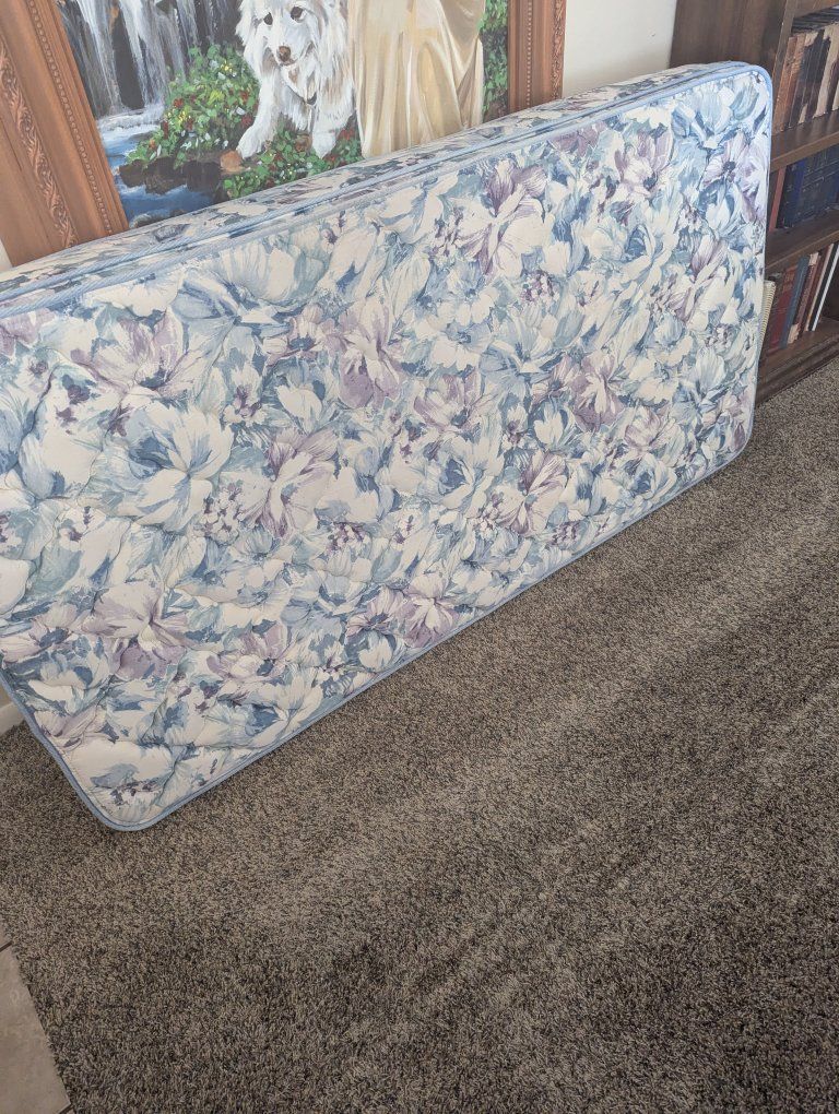 FREE Twin mattresses