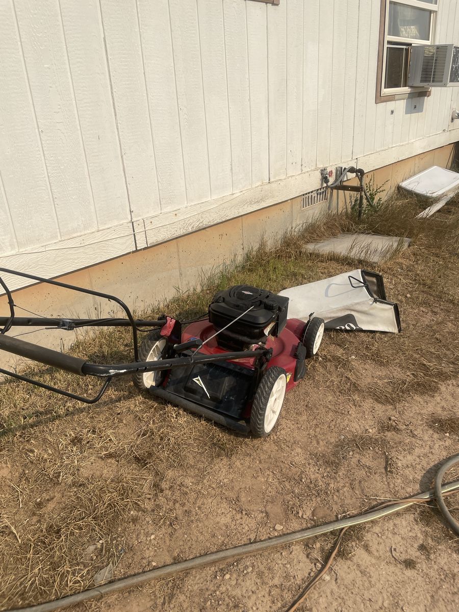 Toro 6.5 HP Self-Propelled Lawn Mower with Bagger and Mulcher