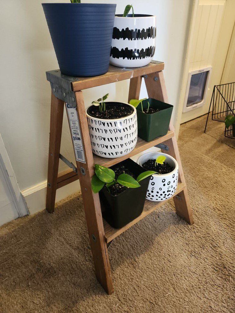 Columbia Wooden 3-Step Ladder Shelf