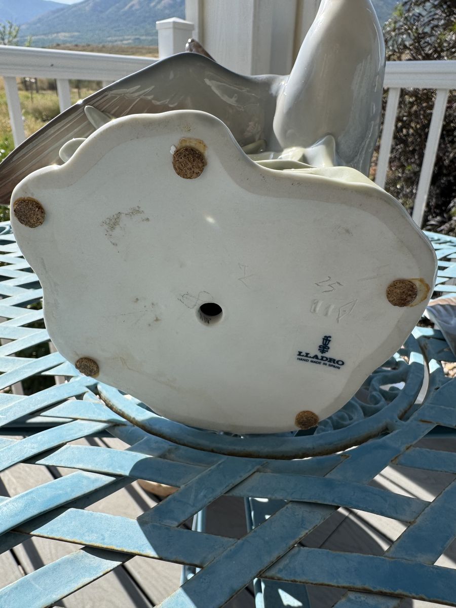 Main image 5