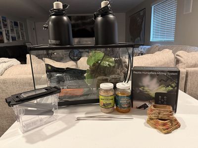 10-Gallon Glass Reptile Terrarium Tank Bundle with Heat Lamps, Misting System & Supplies