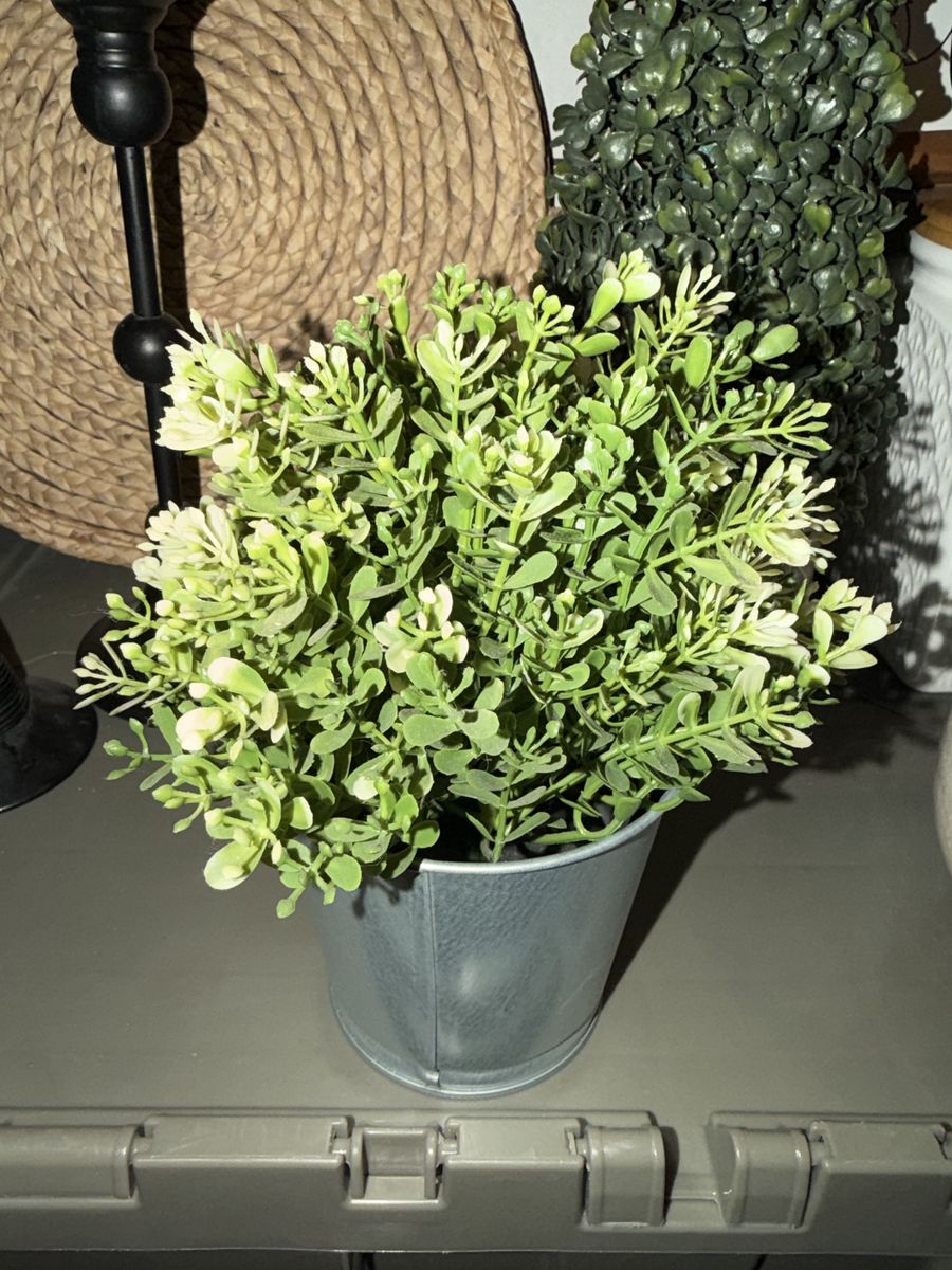 Main image 6