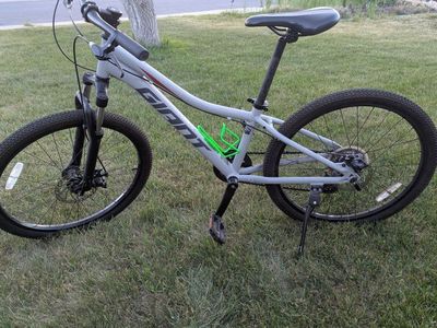 kid's Giant mountain bike
