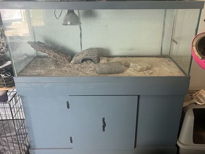 75 Gallon Fish Tank/terrarium