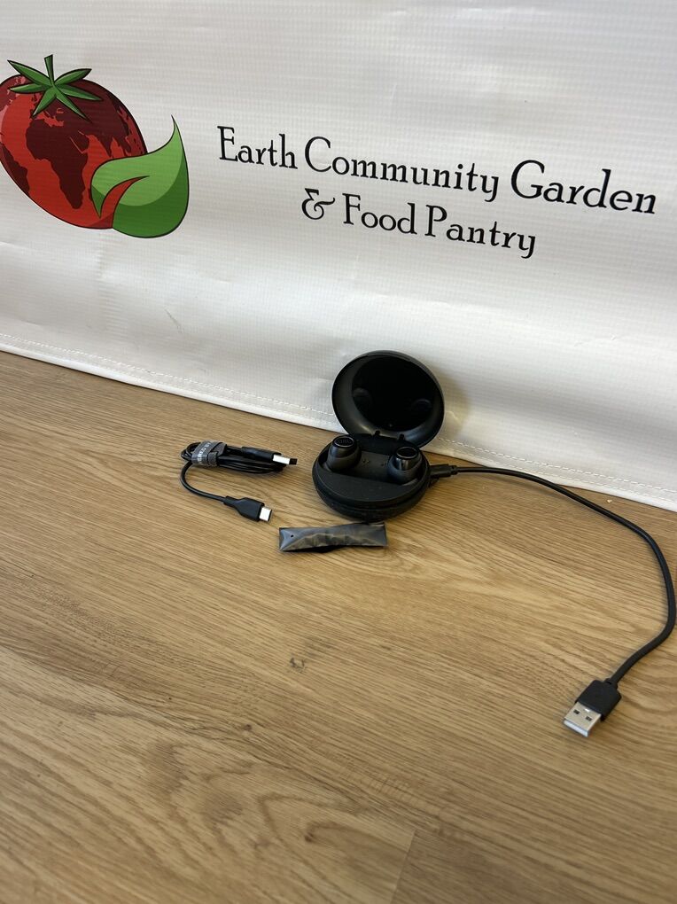 JBL Free X True Wireless Earbuds in Black