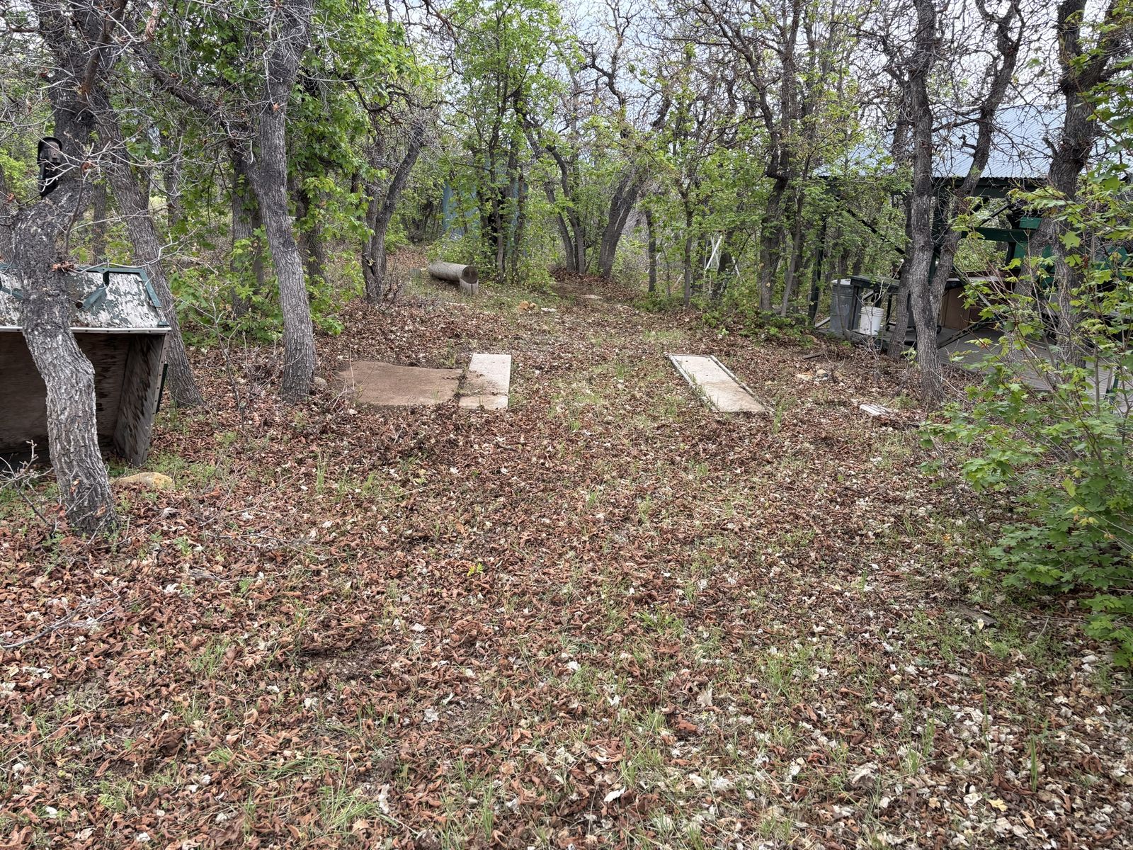 Main image 6