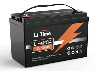 Litime 12V 100Ah LiFePO4 Lithium Battery 100A BMS 4000-15000 Cycles for RV Solar