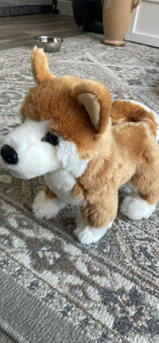 Douglas Cuddle Toys Dunham Shiba Inu plush dog