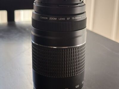 Canon Zoom Lens EF 75-300mm & Carrying Bag