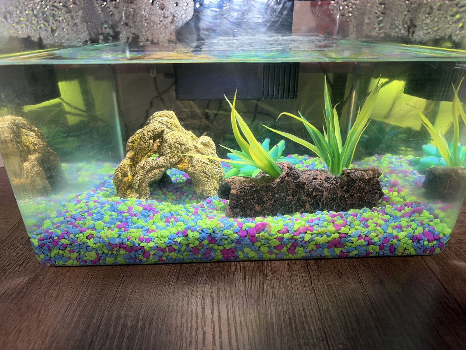Fish tank