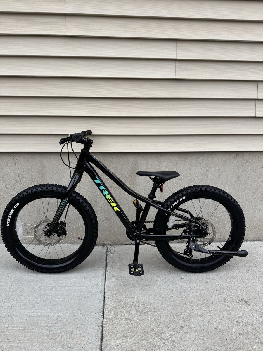 Trek Roscoe 20”