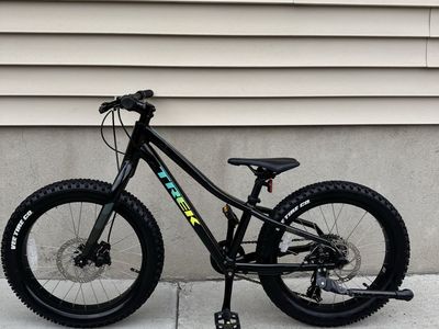 Trek Roscoe 20”