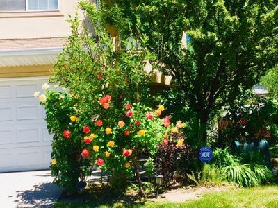 Beautiful 1 bedroom studio for rent