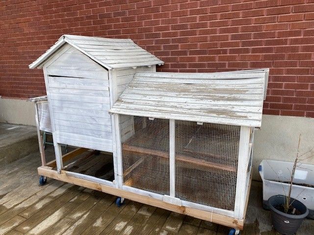 Rabbit Hutch