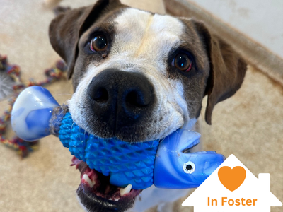 Hello my name is Richard