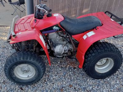 1994 Yamaha timberwolf 250