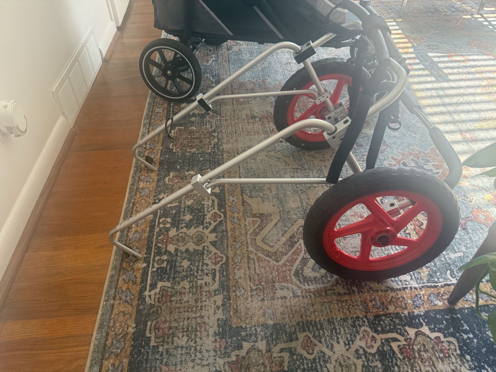 Dog Wheelchair for Large Pets with Red Spoke Wheels