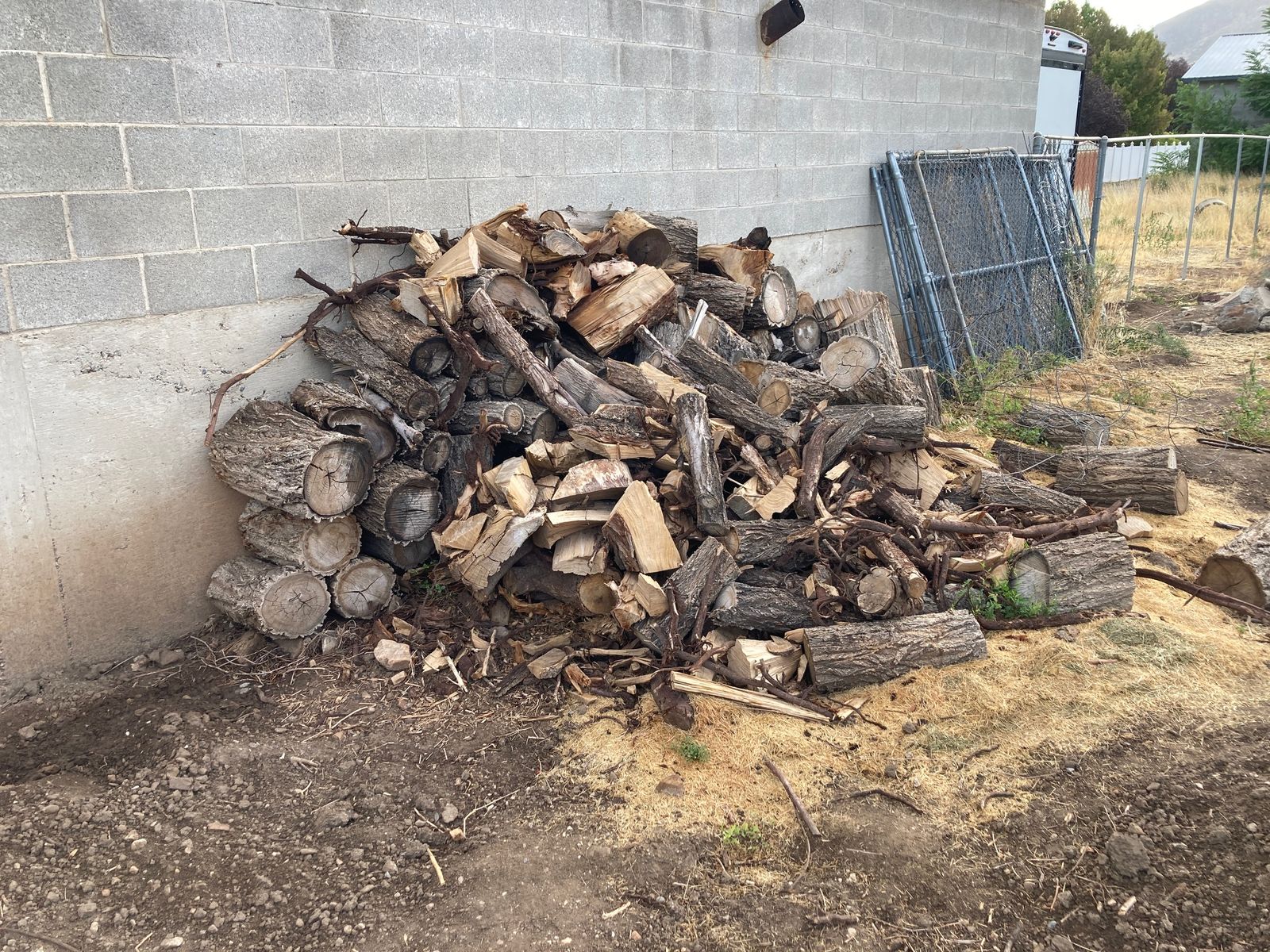 Firewood Free