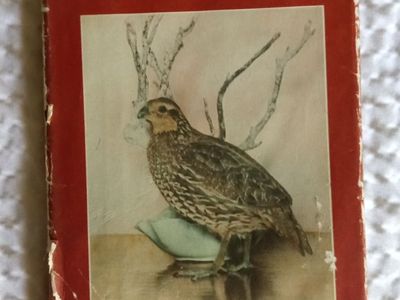 That Quail, Robert by Margaret A. Stanger - 1966 Second Printing, Vintage Non-fiction