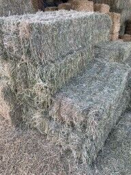 Grass Alfalfa Mix Hay