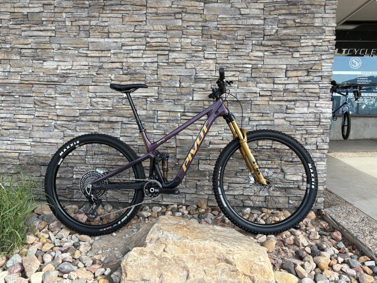 NEW Pivot Trailcat SL Large Team XX SL REYNOLDS CARBON WHEELS