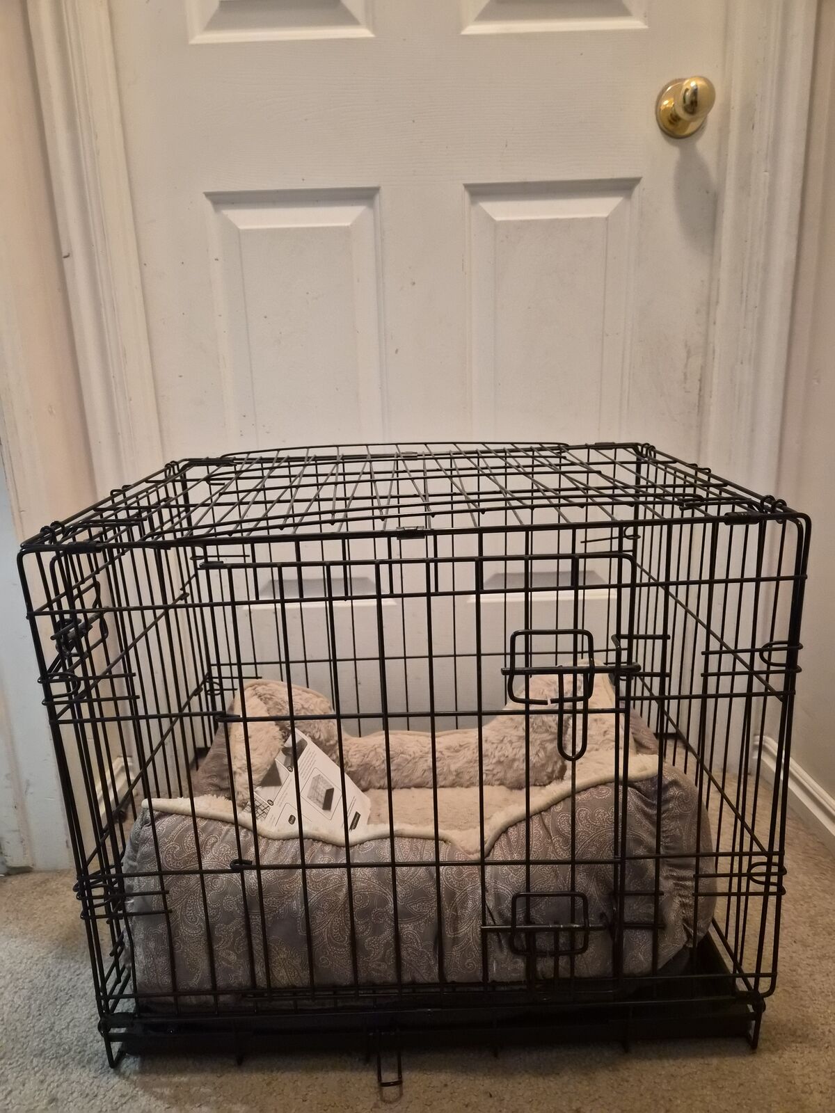 Pet Kennel small