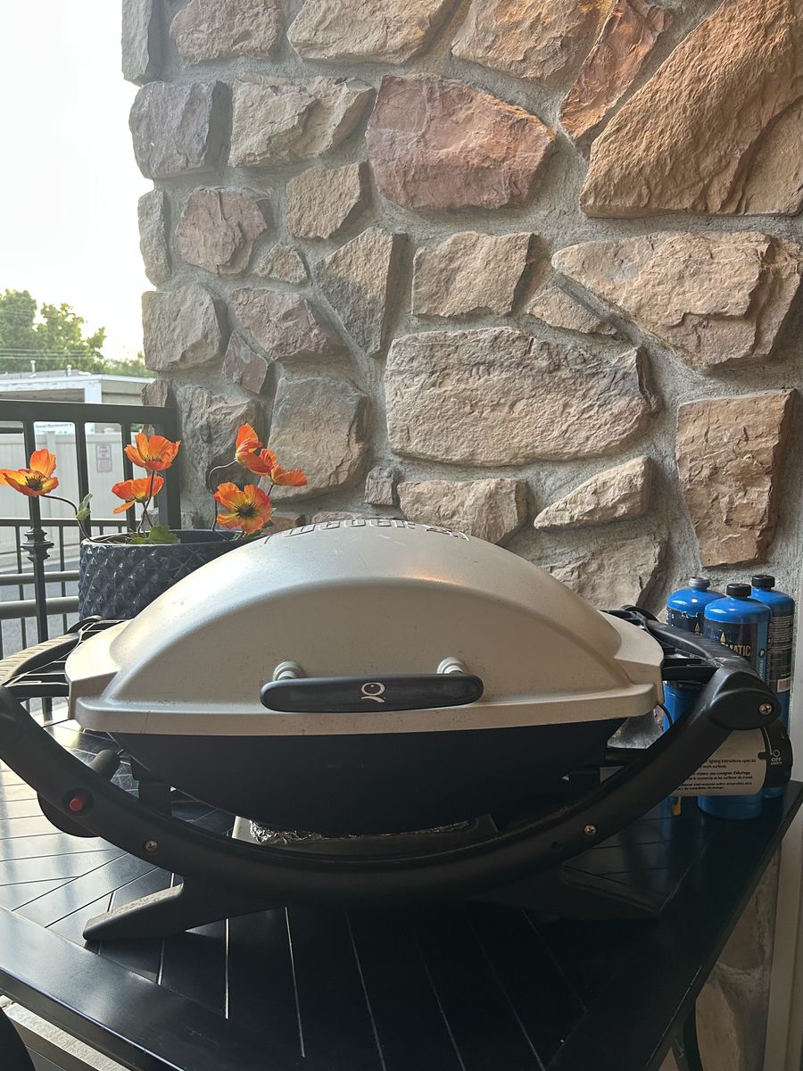 Weber Q Series Portable Liquid Propane Gas Grill with Fold-Out Side Shelves