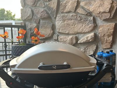 Weber Q Series Portable Liquid Propane Gas Grill with Fold-Out Side Shelves