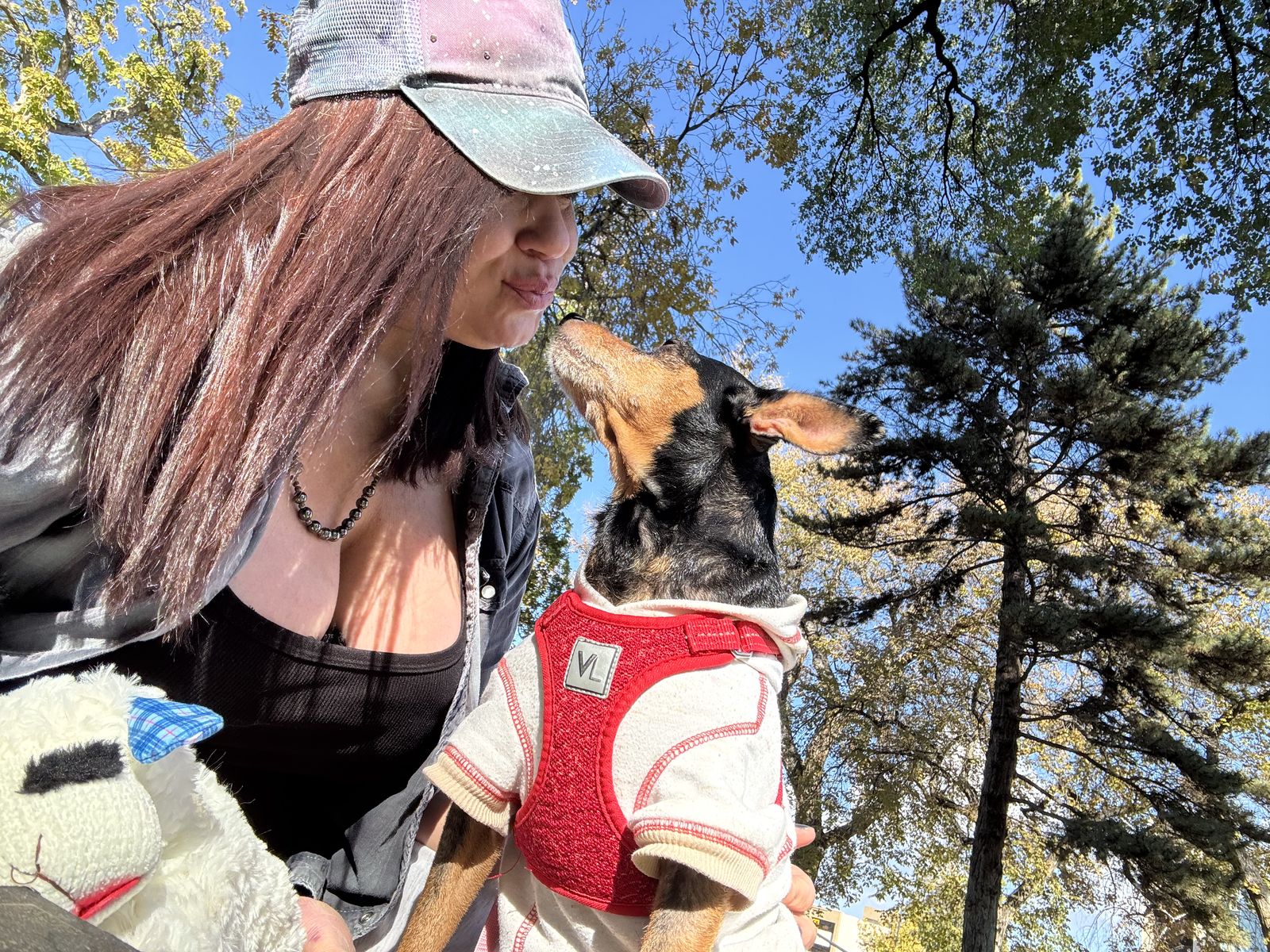 50 yr old Single Female looking for 1 BD Apt (housing voucher) (Orem/ Vineyard)