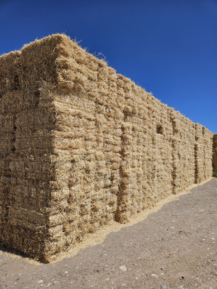 Straw