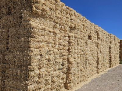 Straw