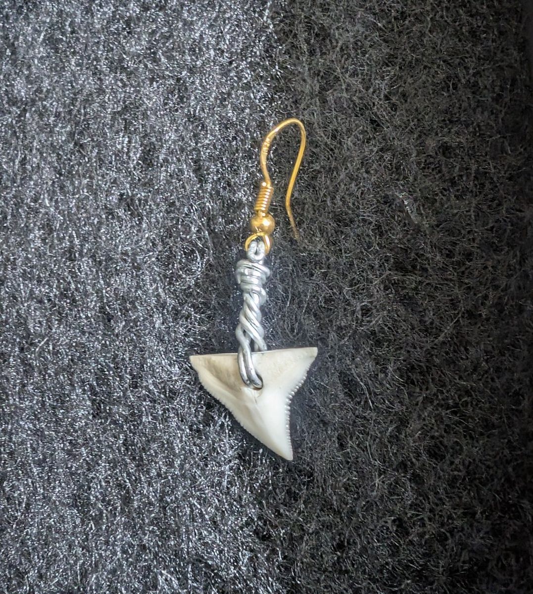 Wire Wrapped Real Shark Tooth Single Dangle Earring