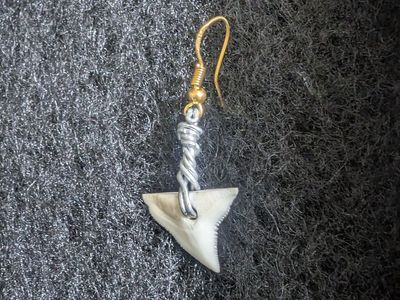 Wire Wrapped Real Shark Tooth Single Dangle Earring