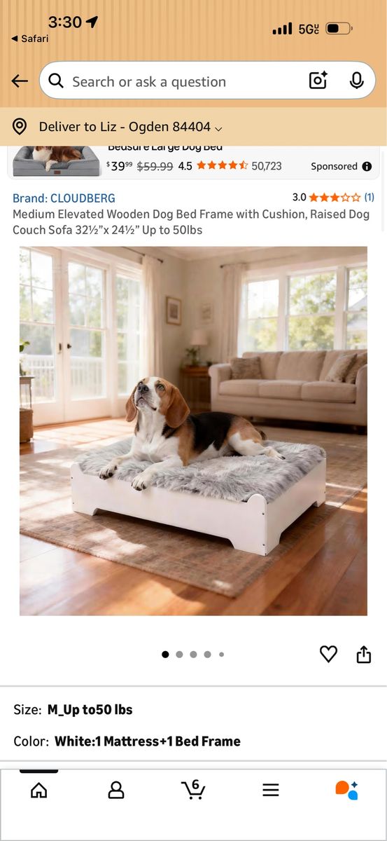 CLOUDBERG elevated dog bed