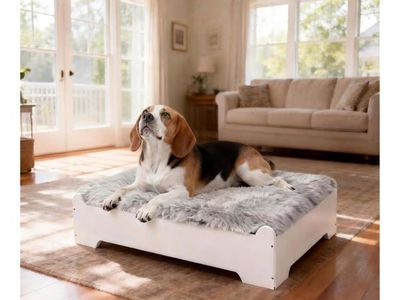 CLOUDBERG elevated dog bed