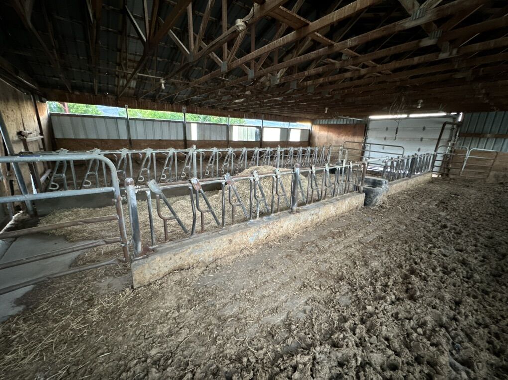 Calf And Heifer Headlock Panels