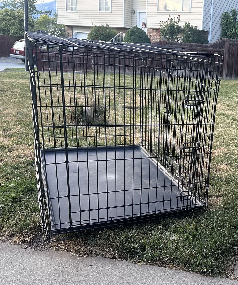 Large Black Metal Dog Crate with Removable Tray