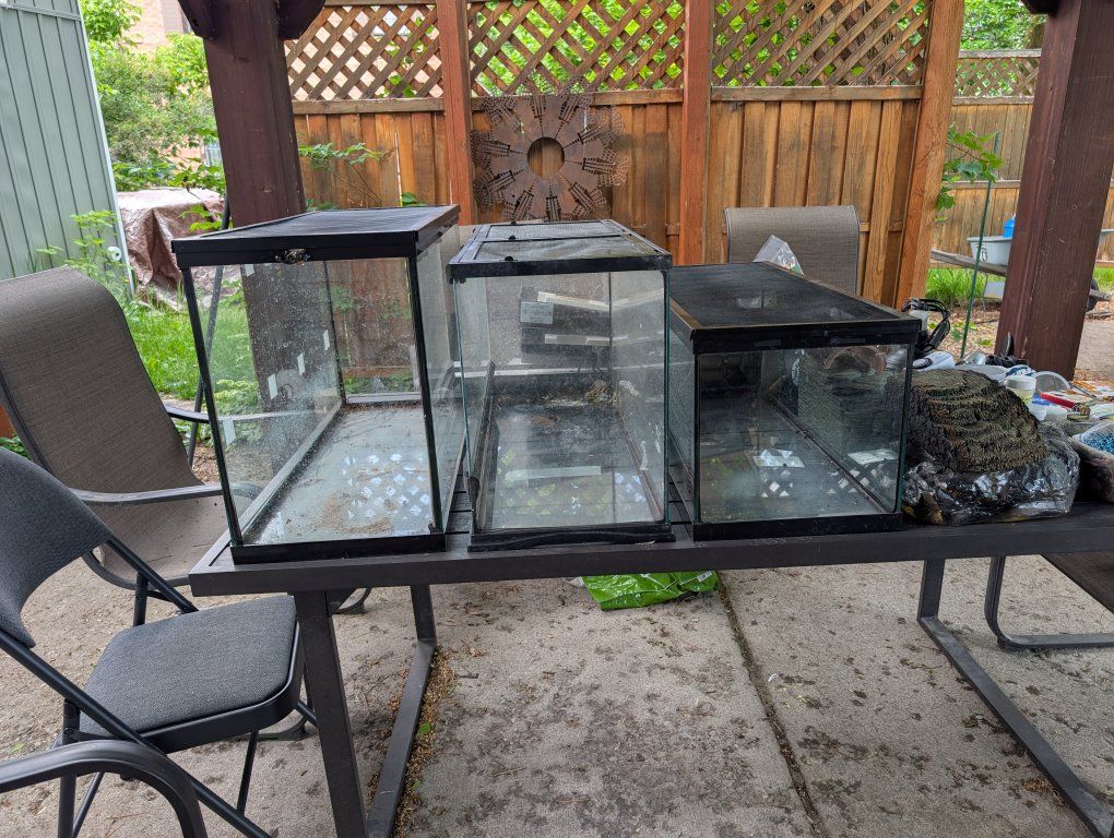 Terrariums and Reptile accessories