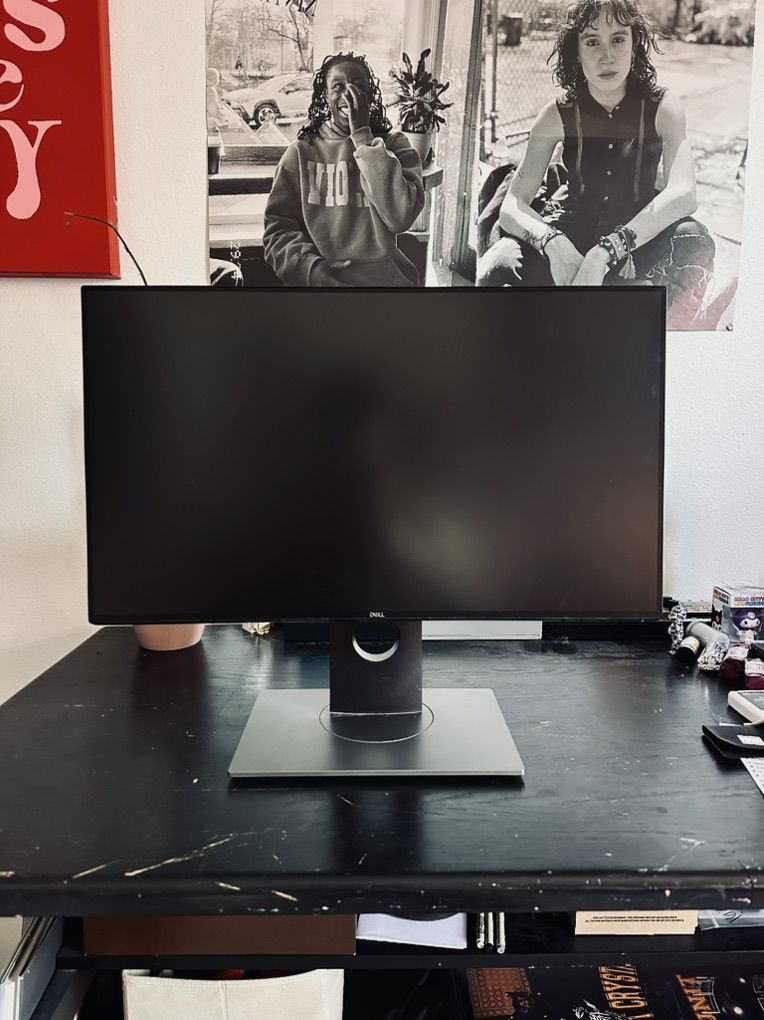 Dell 20 in. Flat Panel Monitor