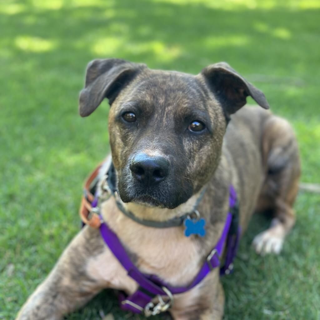 Hello my name is Tuna