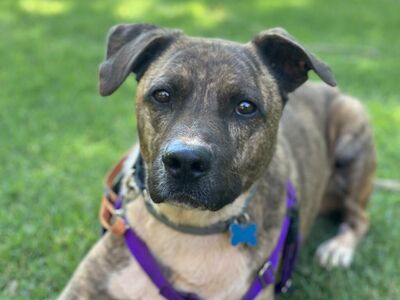 Hello my name is Tuna