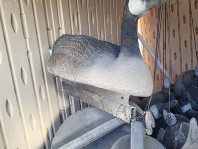 floating Goose decoys